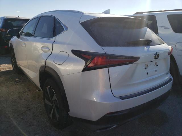 JTJGARBZXL5004962 - 2020 LEXUS NX 300 WHITE photo 3