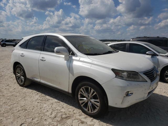 JTJZB1BA5D2409079 - 2013 LEXUS RX 450 WHITE photo 1