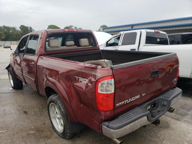 5TBET34146S536384 - 2006 TOYOTA TUNDRA DOU BURGUNDY photo 3