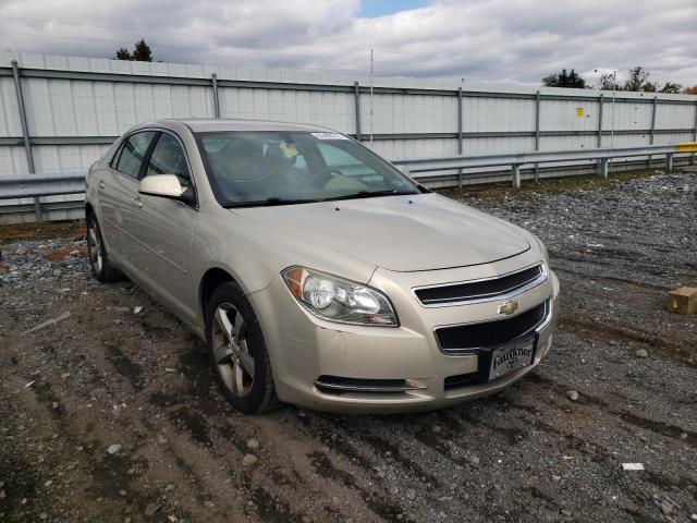1G1ZC5E16BF131066 - 2011 CHEVROLET MALIBU 1LT 金色 照片 1