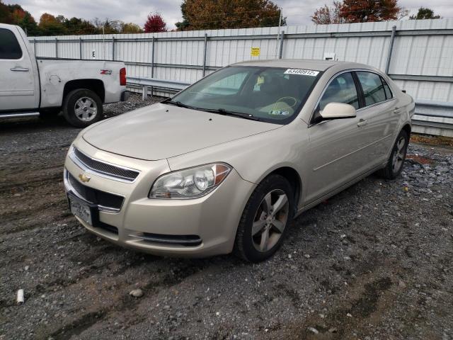 1G1ZC5E16BF131066 - 2011 CHEVROLET MALIBU 1LT 金色 照片 2