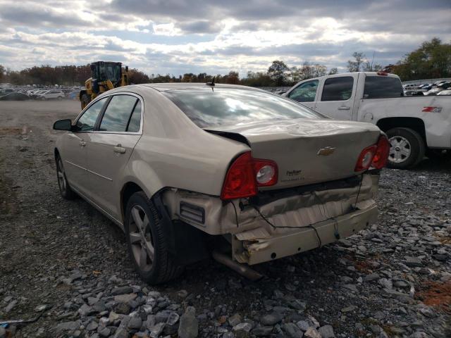 1G1ZC5E16BF131066 - 2011 CHEVROLET MALIBU 1LT 金色 照片 3