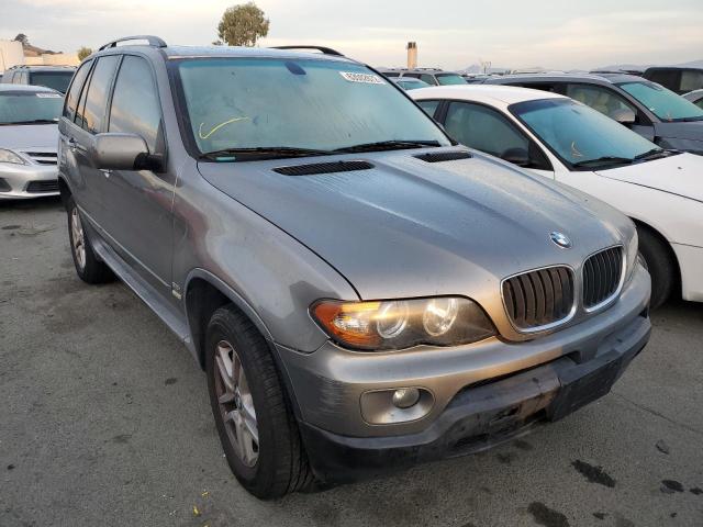5UXFA13536LY28831 - 2006 BMW X5 GRAY photo 1