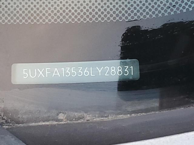 5UXFA13536LY28831 - 2006 BMW X5 GRAY photo 10