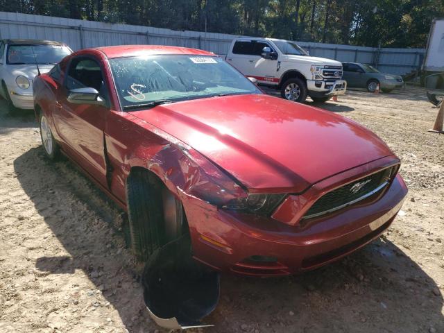 1ZVBP8AM3E5279956 - 2014 FORD MUSTANG RED photo 1