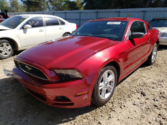 1ZVBP8AM3E5279956 - 2014 FORD MUSTANG RED photo 2