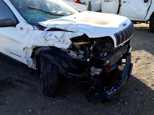 1C4PJMBX1MD159735 - 2021 JEEP CHEROKEE T თეთრი ფოტო 9