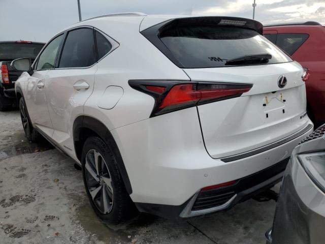 JTJBJRBZ3K2106663 - 2019 LEXUS NX 300H WHITE photo 3