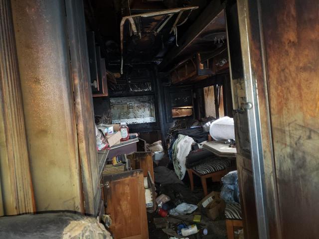 1RF13571781045376 - 2008 ROADMASTER RAIL MONOCOQUE Marron photo 6