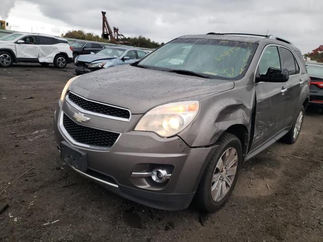 2CNFLFE5XB6257679 - 2011 CHEVROLET EQUINOX BROWN photo 2