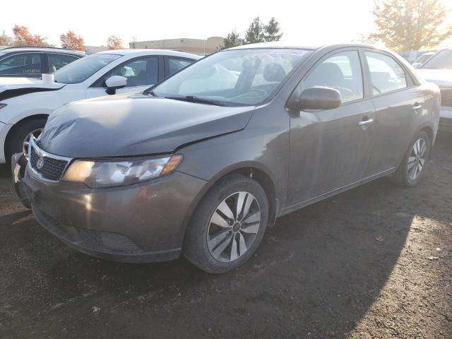 KNAFU4A2XD5691923 - 2013 KIA FORTE EX BROWN photo 2