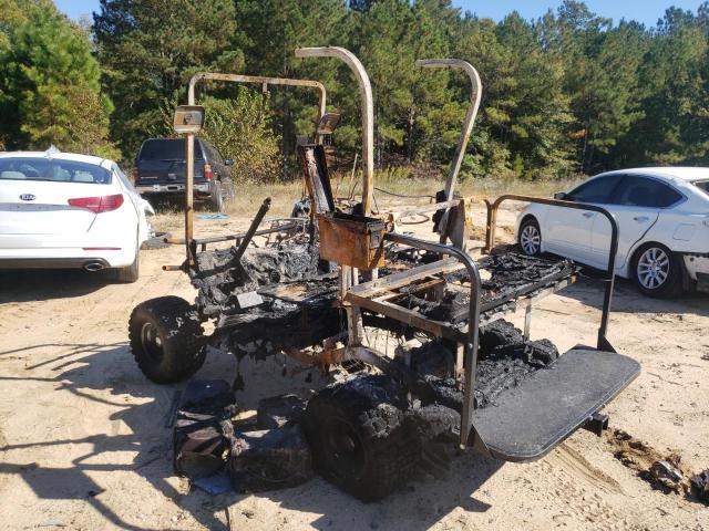 5371302 - 2015 OTHER GOLFCART BURN photo 3