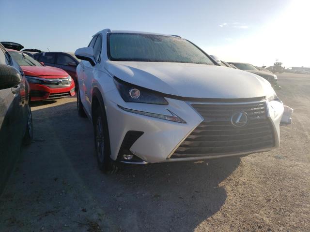 JTJDARBZ6M5023657 - 2021 LEXUS NX 300 BAS WHITE photo 1