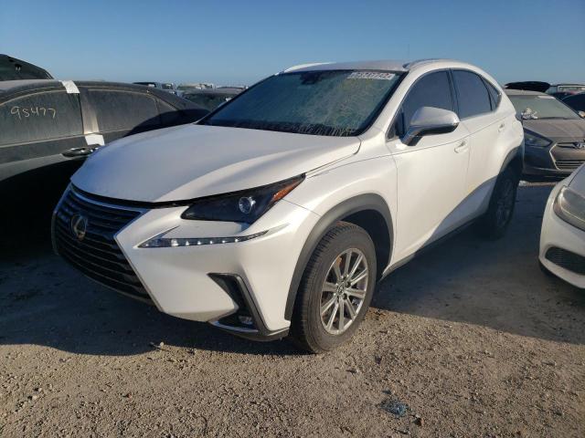 JTJDARBZ6M5023657 - 2021 LEXUS NX 300 BAS WHITE photo 2