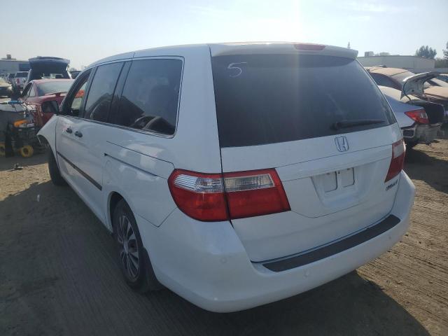 5FNRL38265B122361 - 2005 HONDA ODYSSEY LX WHITE photo 3