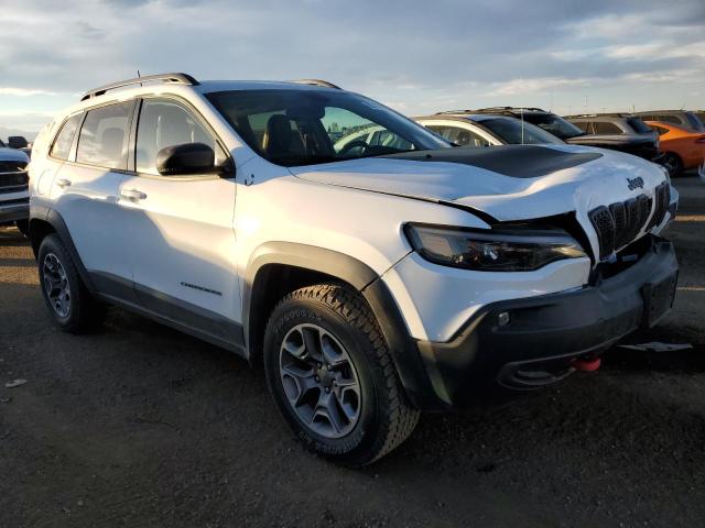 1C4PJMBN0LD638984 - 2020 JEEP CHEROKEE T WHITE photo 1