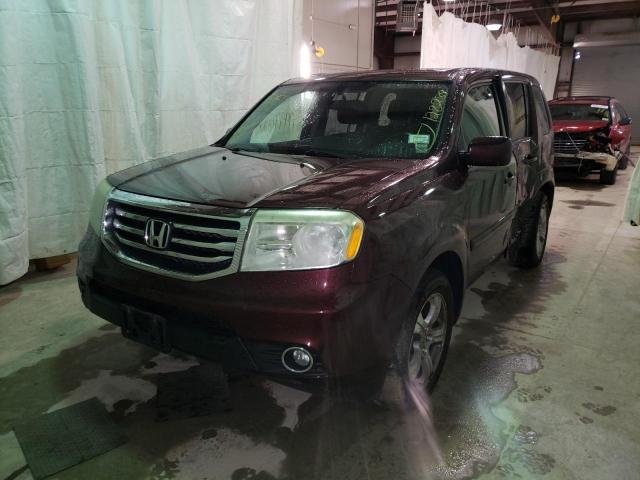 5FNYF4H72EB012623 - 2014 HONDA PILOT EXLN BURGUNDY photo 2