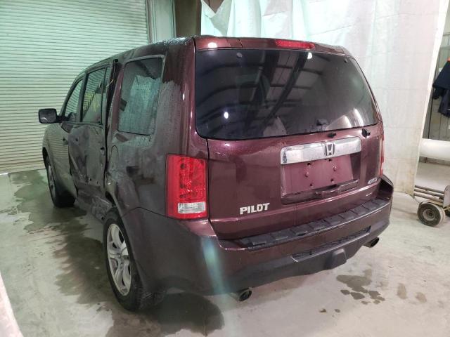 5FNYF4H72EB012623 - 2014 HONDA PILOT EXLN BURGUNDY photo 3