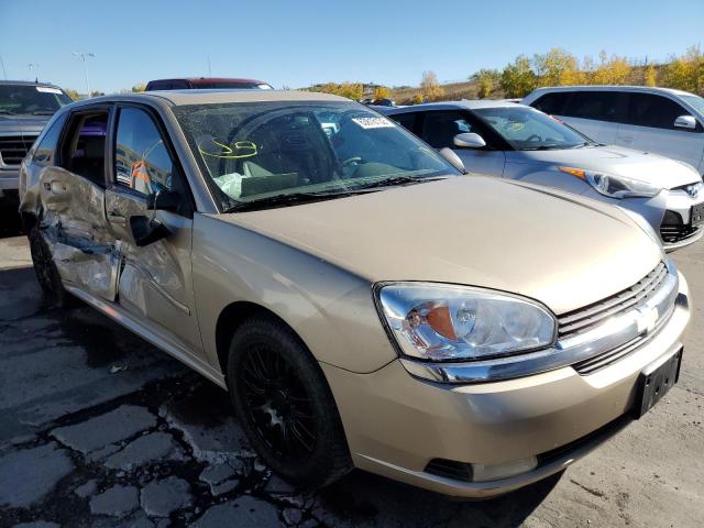 1G1ZU64864F245301 - 2004 CHEVROLET MALIBU MAX 金色 照片 1