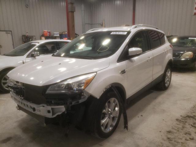 1FMCU9J93EUB59920 - 2014 FORD ESCAPE TIT WHITE photo 2