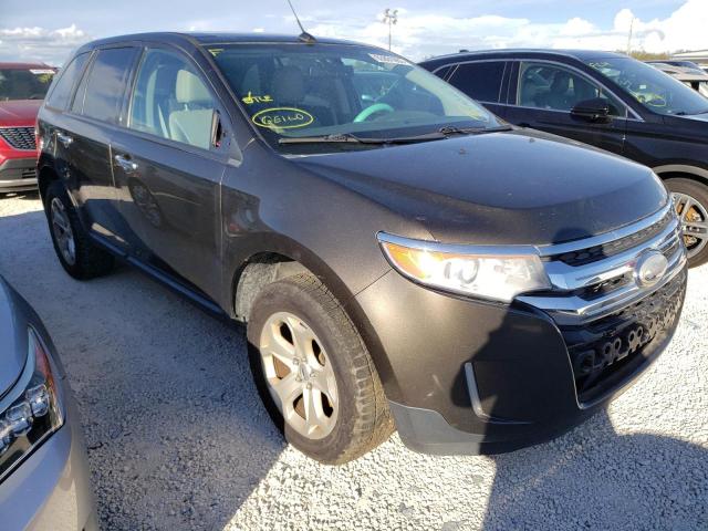 2FMDK4JC6BBB36528 - 2011 FORD EDGE SEL BROWN photo 1