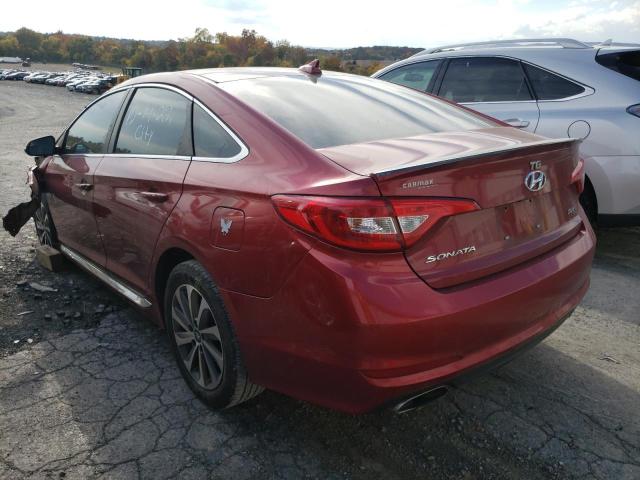 5NPE34AF4FH116241 - 2015 HYUNDAI SONATA SPO RED photo 3