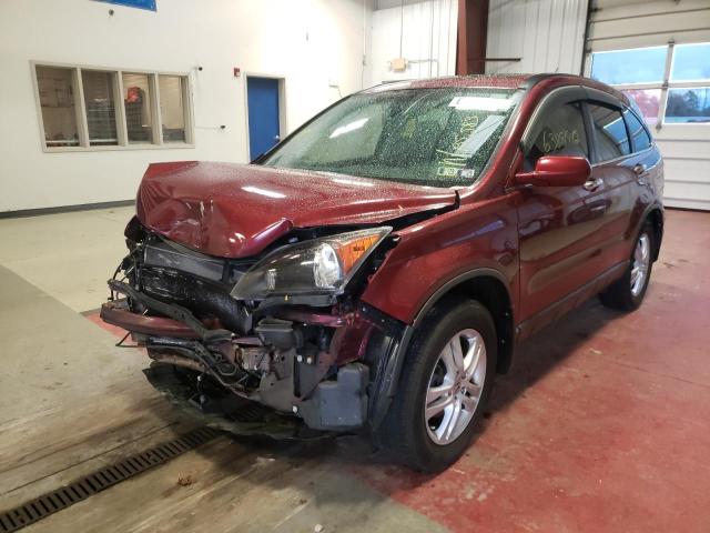 5J6RE4H75BL046971 - 2011 HONDA CR-V EXL BURGUNDY photo 2