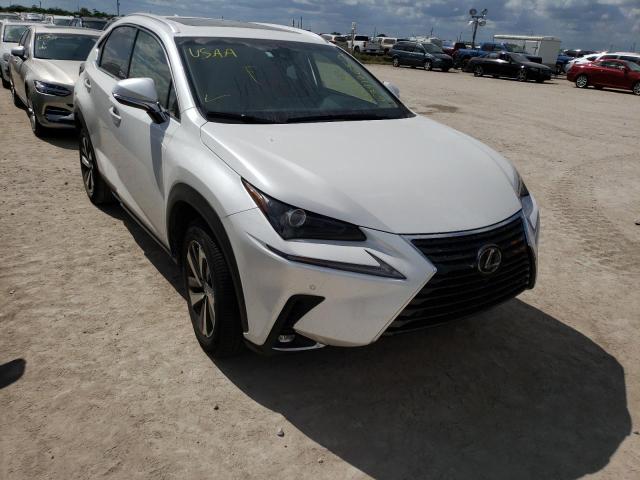 JTJYARBZXK2117749 - 2019 LEXUS NX 300 BAS 未知 - 不可接受的库存 照片 1