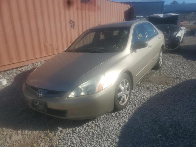 1HGCM66575A012463 - 2005 HONDA ACCORD BEIGE photo 2