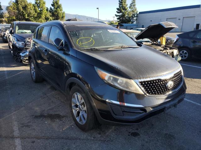 KNDPB3AC4E7634428 - 2014 KIA SPORTAGE B BLACK photo 1