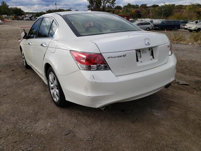 1HGCP36838A050387 - 2008 HONDA ACCORD EXL WHITE photo 3