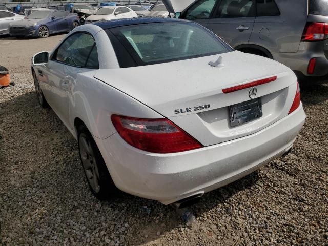 WDDPK4HA6FF111452 - 2015 MERCEDES-BENZ SLK 250 WHITE photo 3