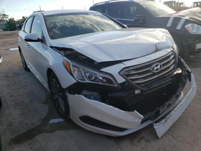 5NPE34AF9FH256074 - 2015 HYUNDAI SONATA SPO WHITE photo 1