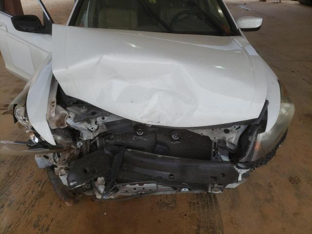 1HGCP268X9A033095 - 2009 HONDA ACCORD EXL WHITE photo 7