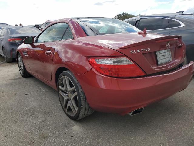 WDDPK4HA3EF078179 - 2014 MERCEDES-BENZ SLK 250 UNKNOWN - NOT OK FOR INV. photo 3