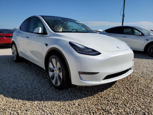 5YJYGDEE7MF283532 - 2021 TESLA MODEL Y Blanc photo 1