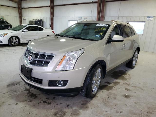3GYFNBE34CS574148 - 2012 CADILLAC SRX PERFOR 金色 照片 2