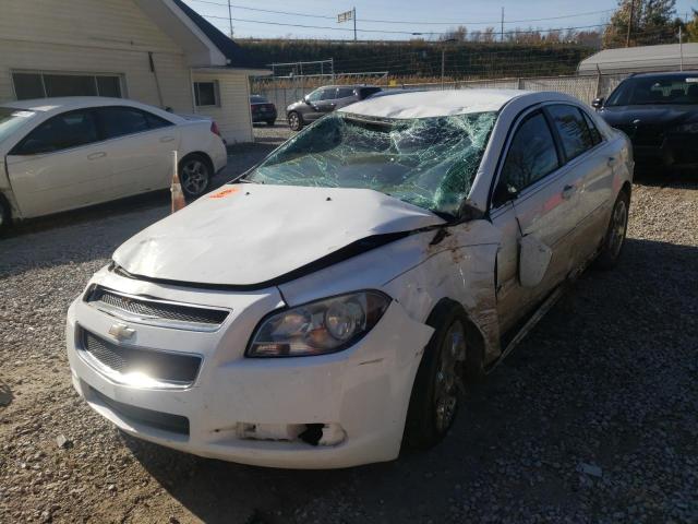 1G1ZH57B594107547 - 2009 CHEVROLET MALIBU 1LT თეთრი ფოტო 2