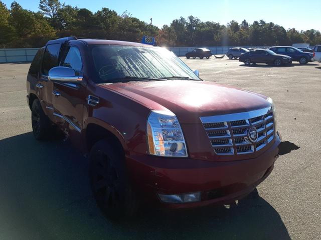 1GYS4CEF3BR150575 - 2011 CADILLAC ESCALADE P RED photo 1