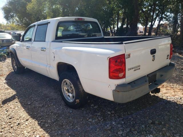 1D3HW28P37S208989 - 2007 DODGE DAKOTA QUA WHITE photo 3