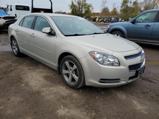 1G1ZC5E13BF127637 - 2011 CHEVROLET MALIBU 1LT 金色 照片 1
