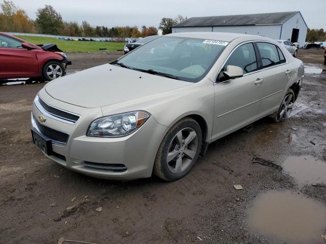 1G1ZC5E13BF127637 - 2011 CHEVROLET MALIBU 1LT 金色 照片 2