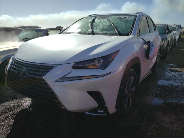 JTJGARBZ5M2179378 - 2021 LEXUS NX 300 BAS WHITE photo 2