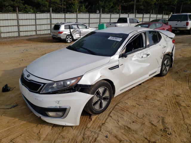 KNAGM4AD2D5055440 - 2013 KIA OPTIMA HYB WHITE photo 2