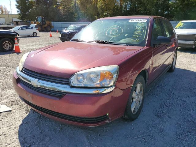 1G1ZT64874F159515 - 2004 CHEVROLET MALIBU MAX 勃艮第红 照片 2