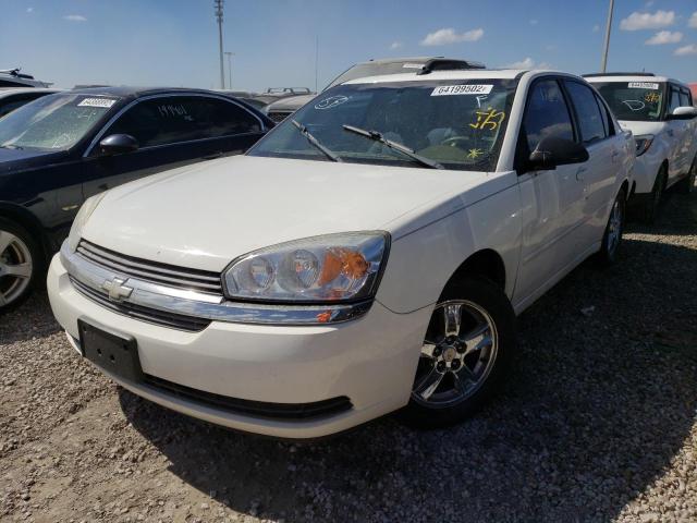 1G1ZT54855F294147 - 2005 CHEVROLET MALIBU LS WHITE photo 2