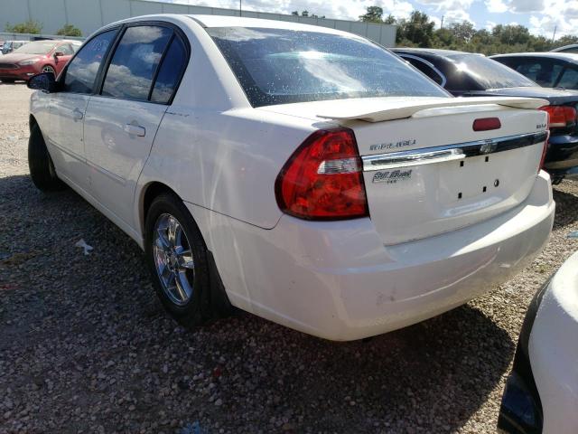 1G1ZT54855F294147 - 2005 CHEVROLET MALIBU LS WHITE photo 3