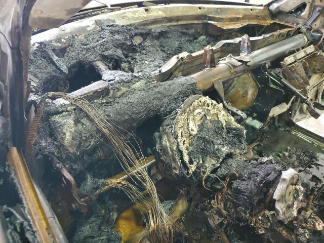 3VWSF31YX7M422018 - 2007 VOLKSWAGEN NEW BEETLE 绿色 照片 8