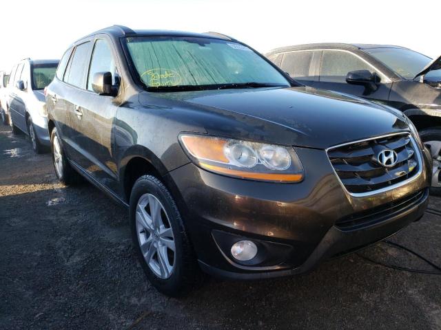 5XYZK4AG2BG025421 - 2011 HYUNDAI SANTA FE L BROWN photo 1