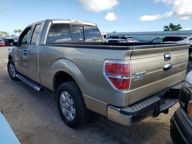 1FTFX1CT6DFB42275 - 2013 FORD F150 SUPER TAN photo 3